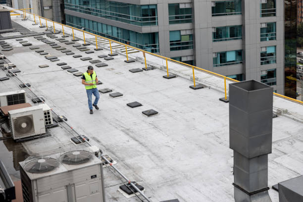 Best Roof Coating and Sealing  in Corcoran, MN